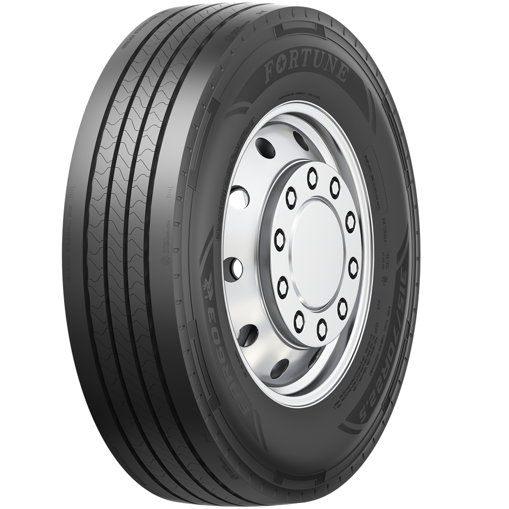 Gomme Nuove Fortune 315/80 R225 158L FAR 603 pneumatici nuovi Estivo