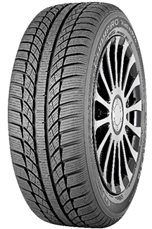 Gomme Nuove GT Radial 255/50 R19 107V WTPRO HP M+S pneumatici nuovi Invernale